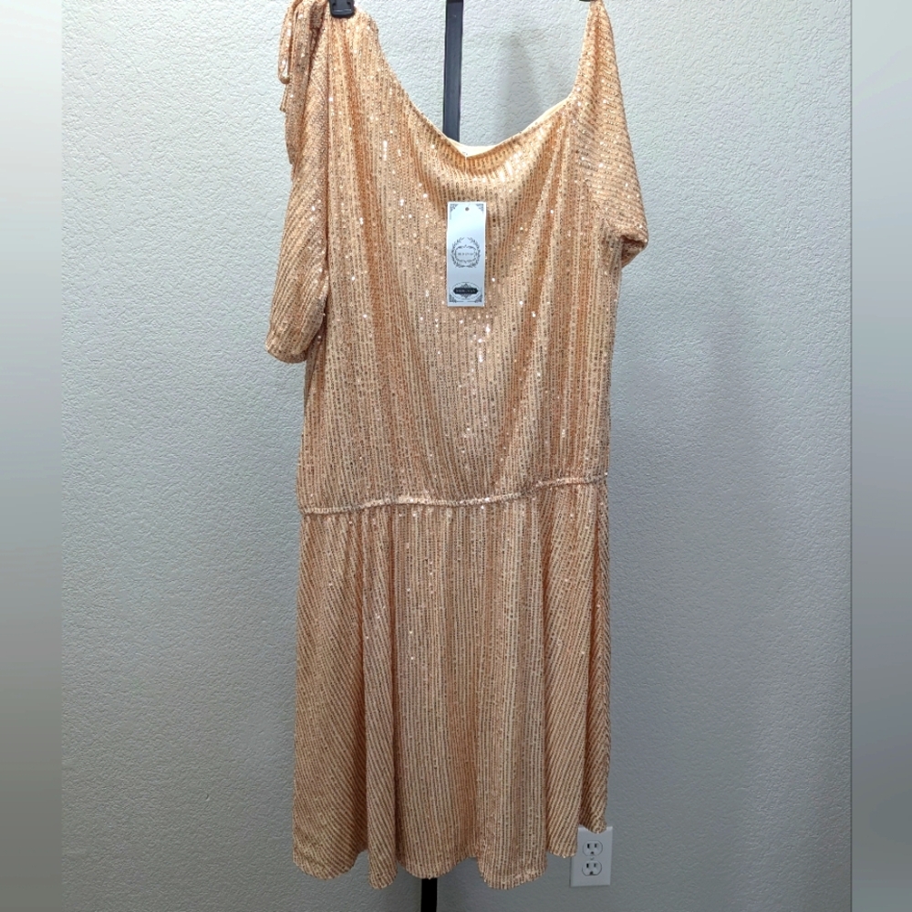Champagne Sequin Dress